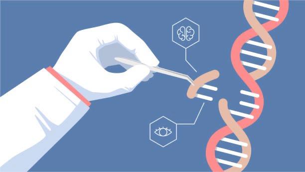 The CRISPR Picture