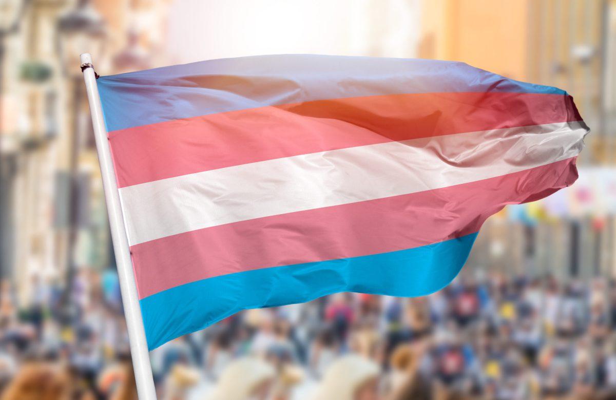 transgender flag over crowd of protesters