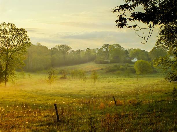 A golden pasture with old fence post standing and a small farmhouse in the distance from Heartland Greenway, Nashville, Tn Spring 2012