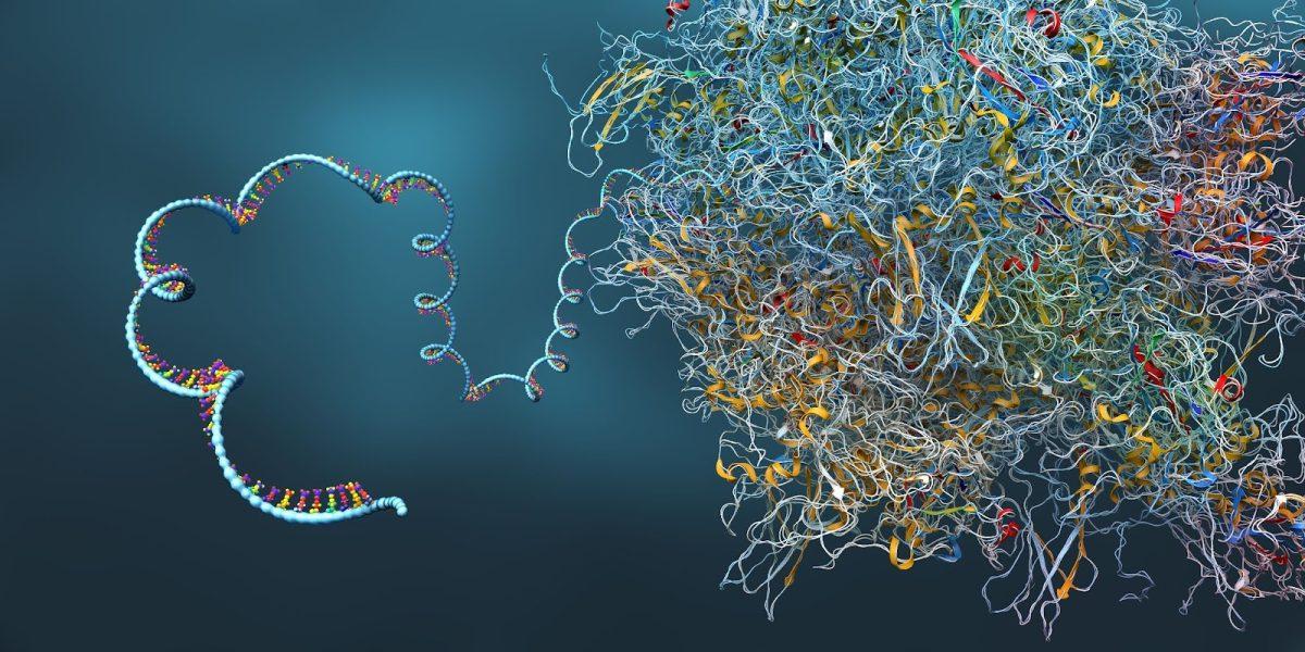 AlphaFold: A new world of protein structure