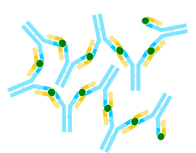 Evusheld: The Next Big Leap in Antibody Therapy