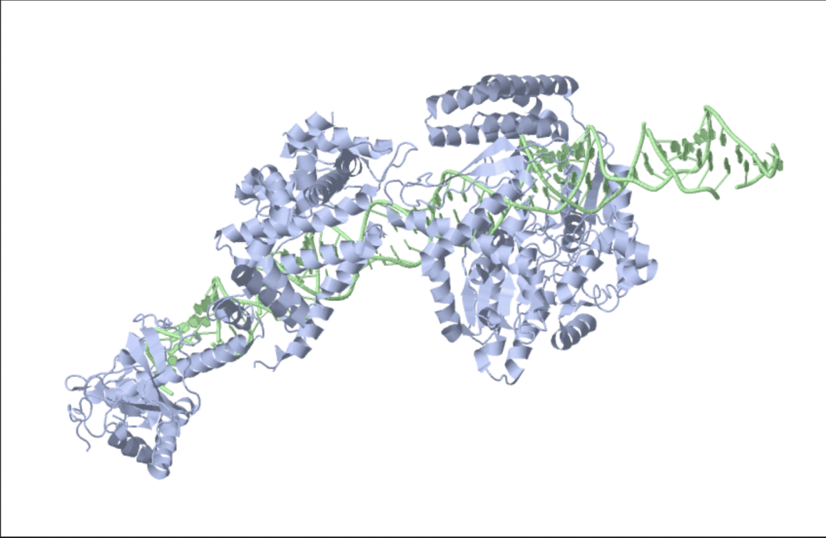 Visualizing Biological Molecules at Atomic Resolution: Advances in Cryo-EM