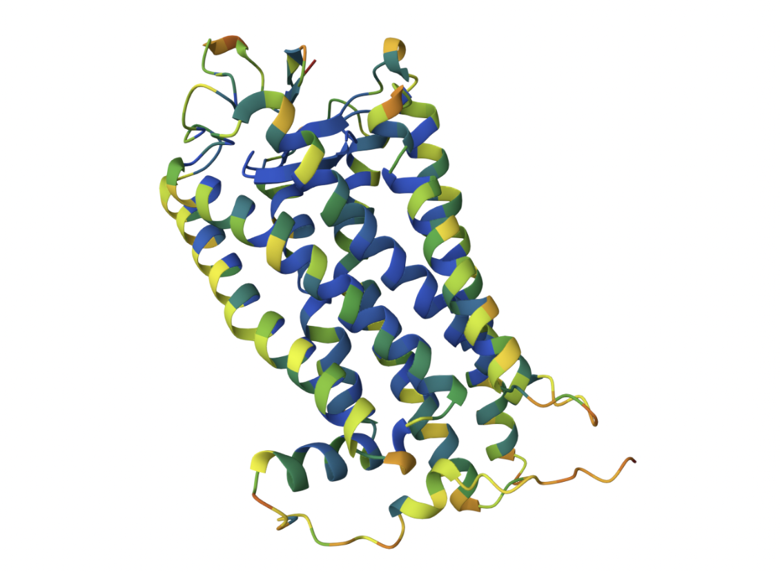 Vanderbilt alumnus John Jumper wins the Nobel Prize in Chemistry for AlphaFold